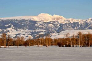 jackson-hole-spring-fly-fishing-report