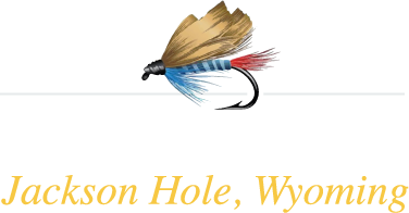 grand teton fly fishing logo