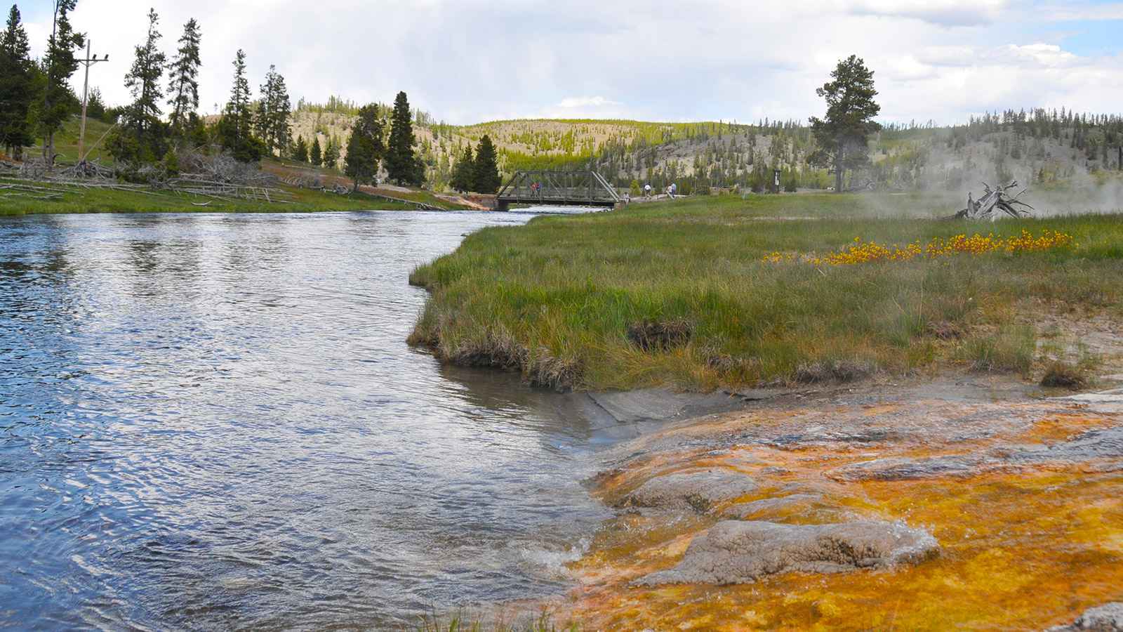 Day trips from Jackson Hole geyser going into fir