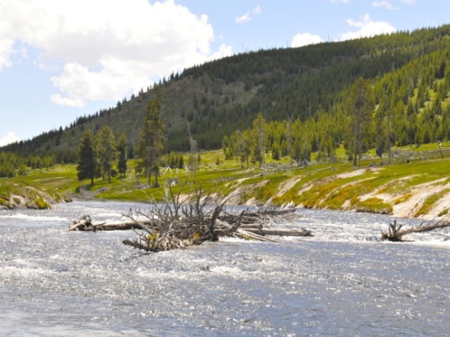 Day trips from Jackson Hole river in yellowstone