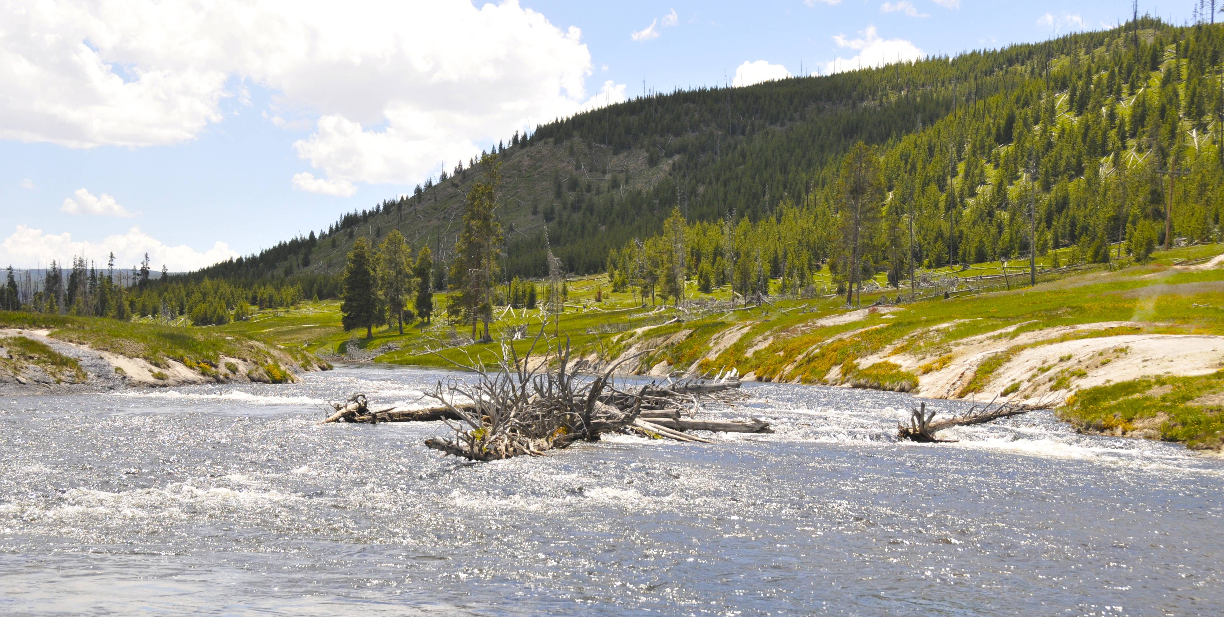 Day trips from Jackson Hole river in yellowstone