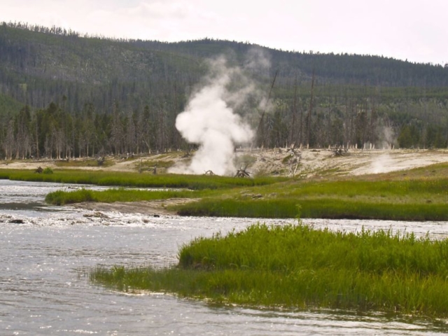 Day trips from Jackson Hole yellowstone geyser