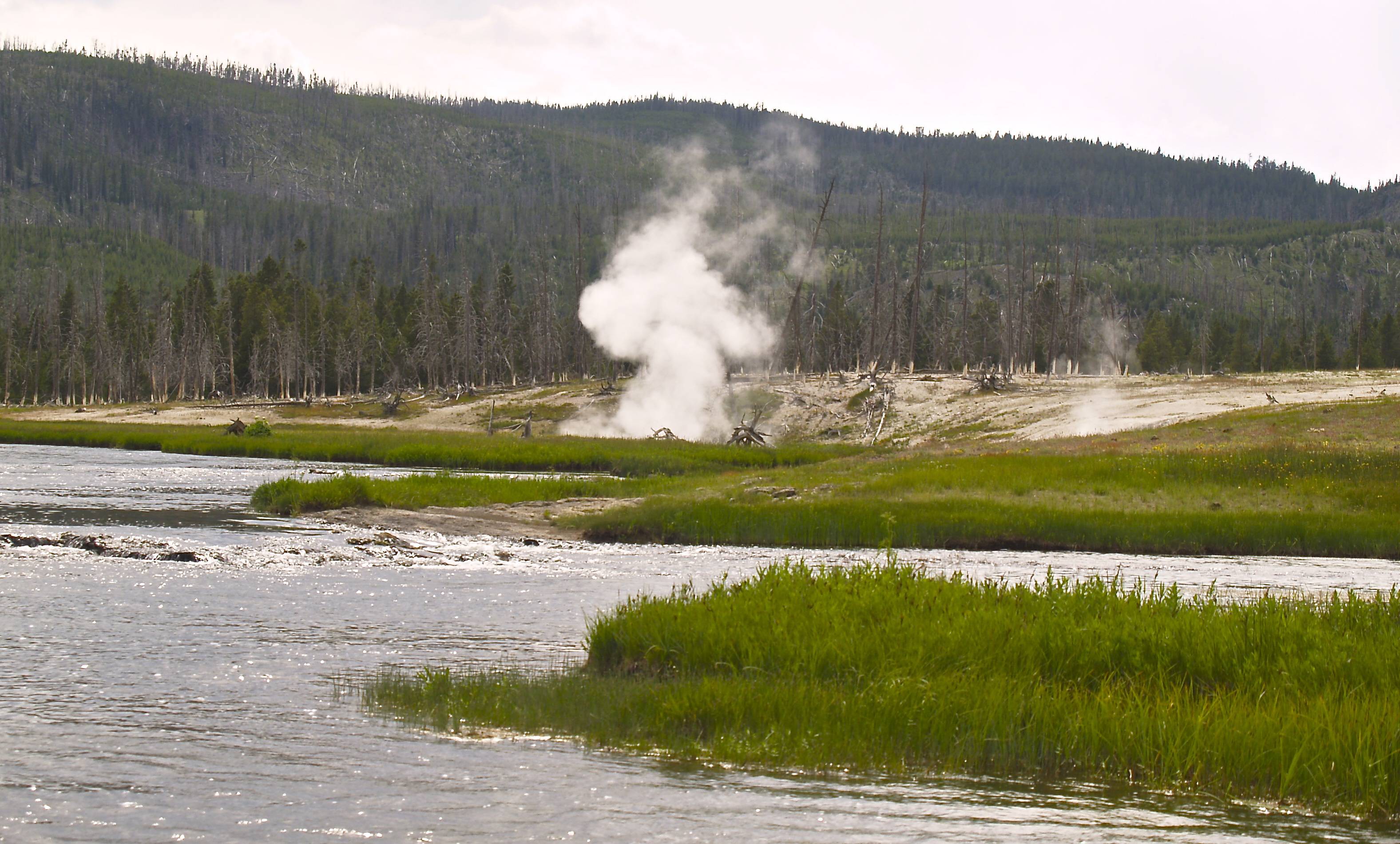 Day trips from Jackson Hole yellowstone geyser