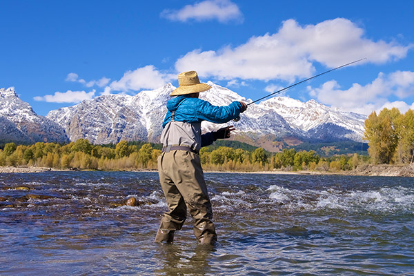 Fishing Jackson Hole josh gallivan casting into the snake river with snowy teton mountains in the background