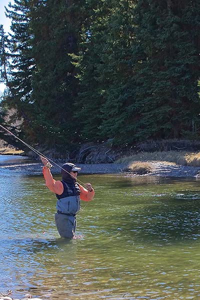 Jackson Hole Wyoming Fly Fishing Report Josh Gallivan casting into shaded pool on snake river