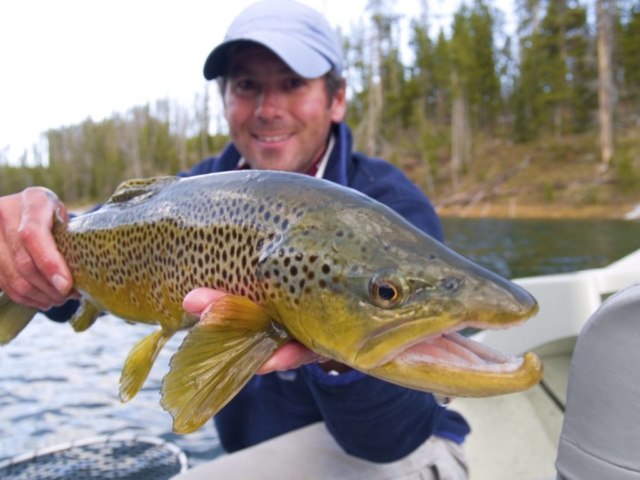 lewis lake in yellowstone guide with big trout