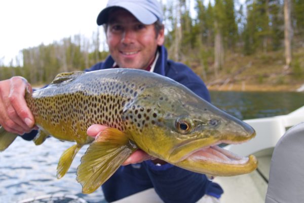lewis lake in yellowstone guide with big trout