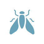 New Fork River fly icon