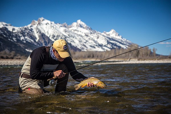 snake river, green river wyoming fishing releasing trout into snake river with tetons