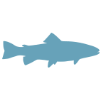 Salt River Wyoming Fish Icon
