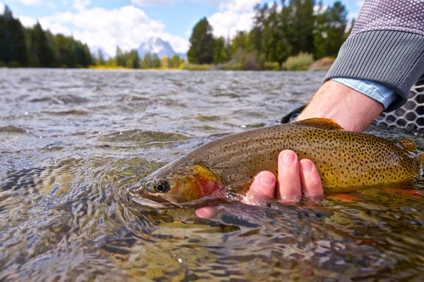 First Annual Fly Fishing Seminar