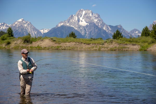 Summer 2018 Season Summary