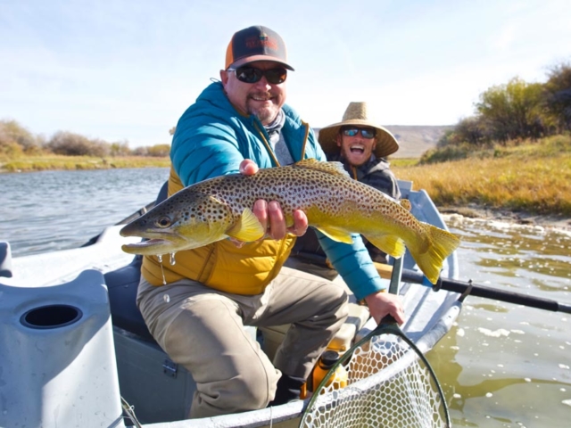Our guide showing a nice trout on the green river while fly fishing in wyoming