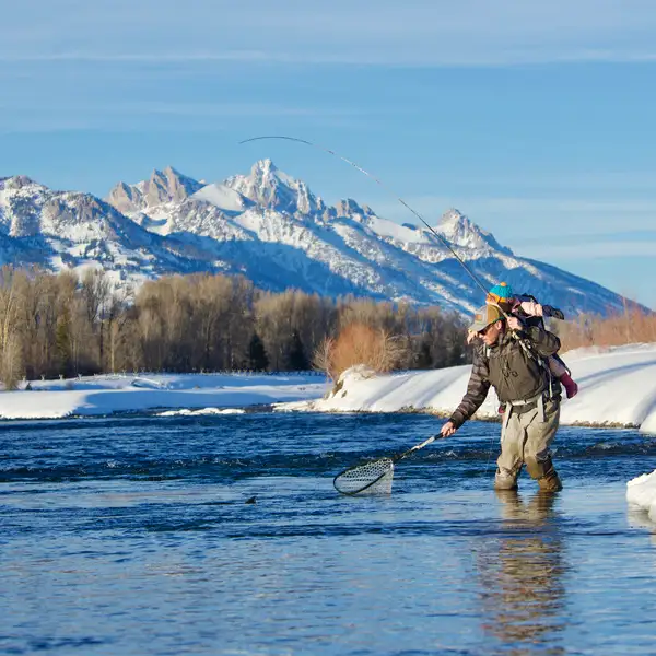 Fly Fishing Yellowstone