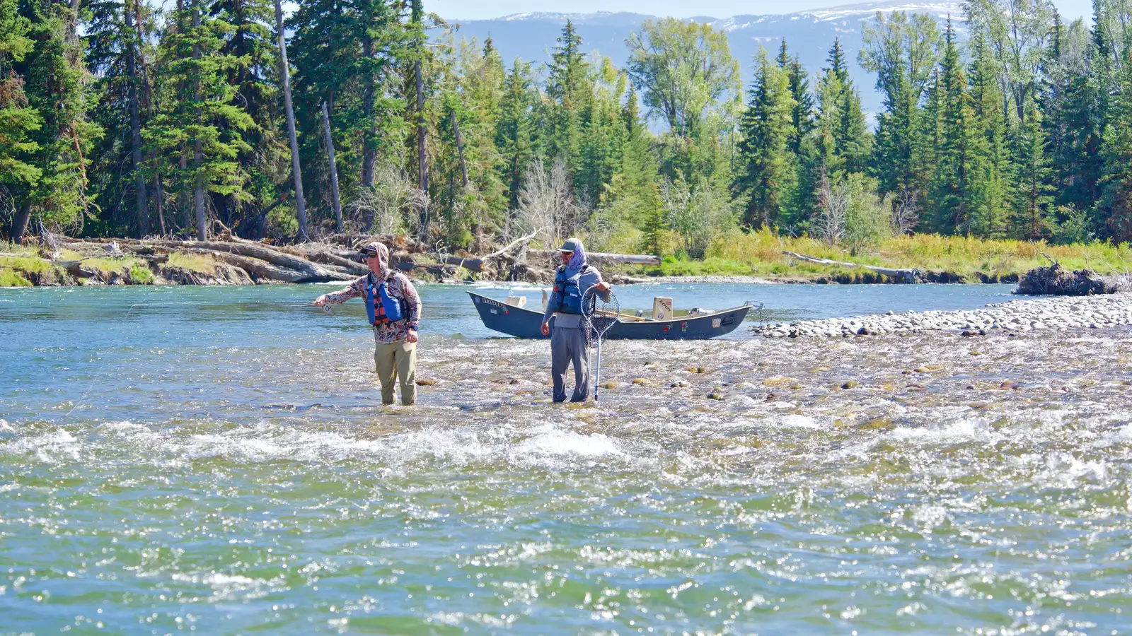 Jackson Hole Fly Fishing Reports