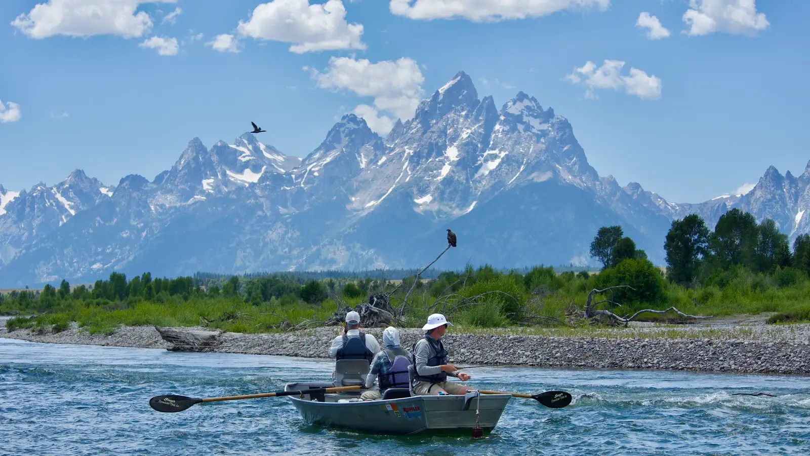fly fishing jackson hole