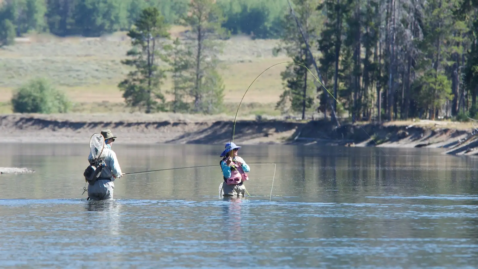 Fly Fishing Yellowstone