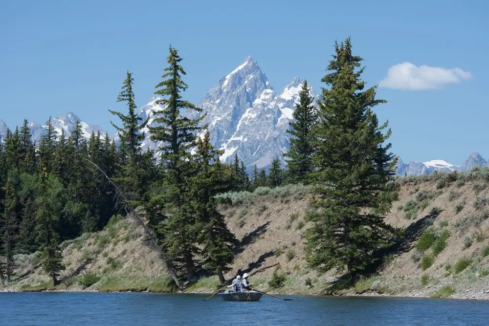 fly fishing jackson hole